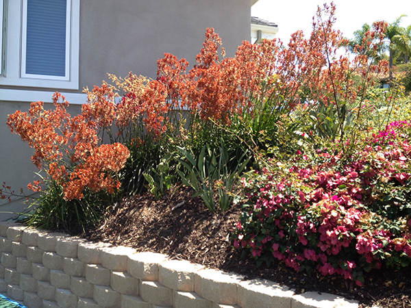 Residential Retaining Wall San Diego