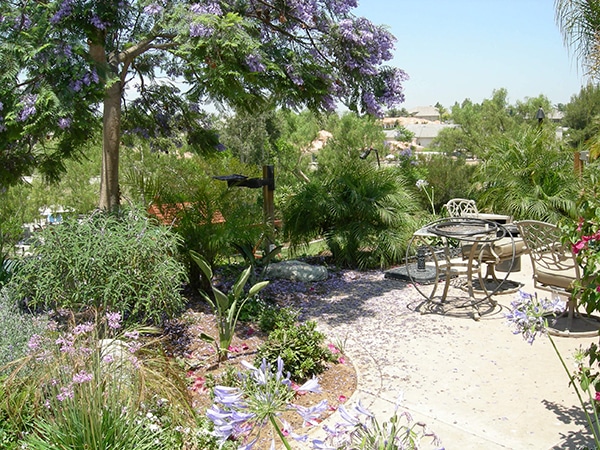 Best Landscape Contractor Carlsbad CA