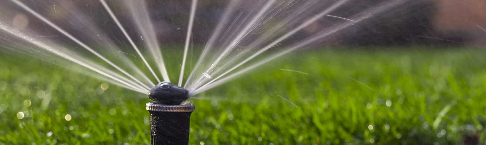 Irrigation System San Diego