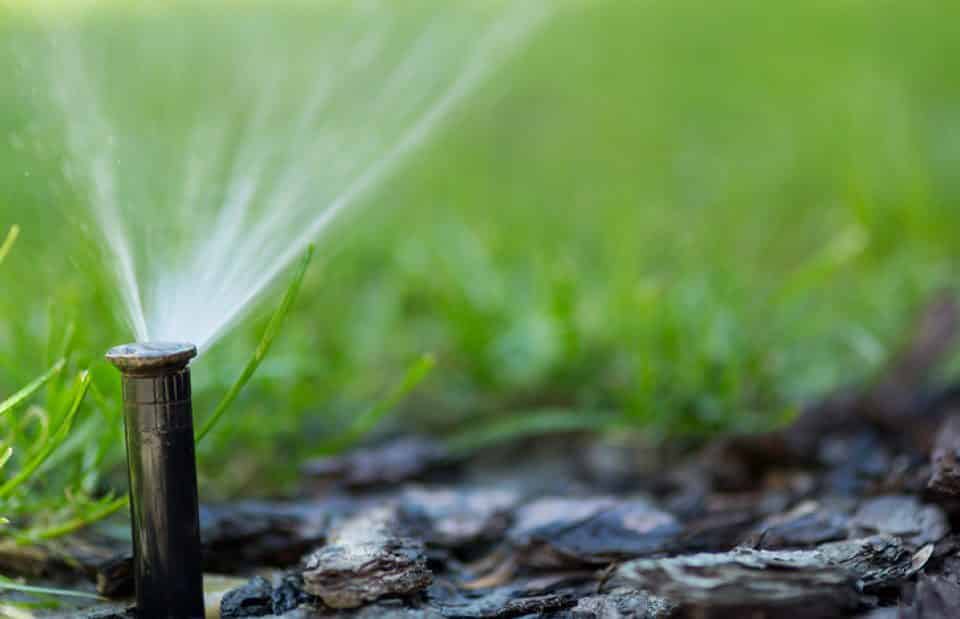 Residential Irrigation System San Diego