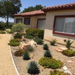 The Ultimate Guide to Drought-Tolerant Landscaping in San Diego